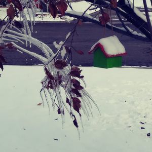 Meet your Posher, Frances